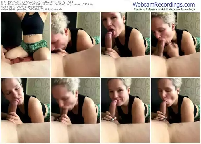 stripchat--2in1--08-18-2024-10-57-48