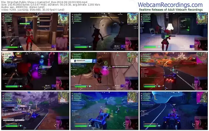stripchat-gamergirl_eve-08-18-2024-00-19-39
