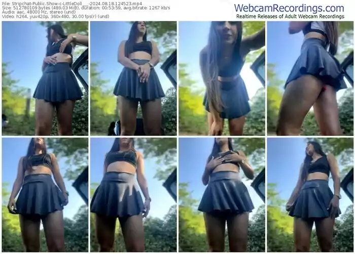 stripchat-littledoll___-08-18-2024-12-45-23