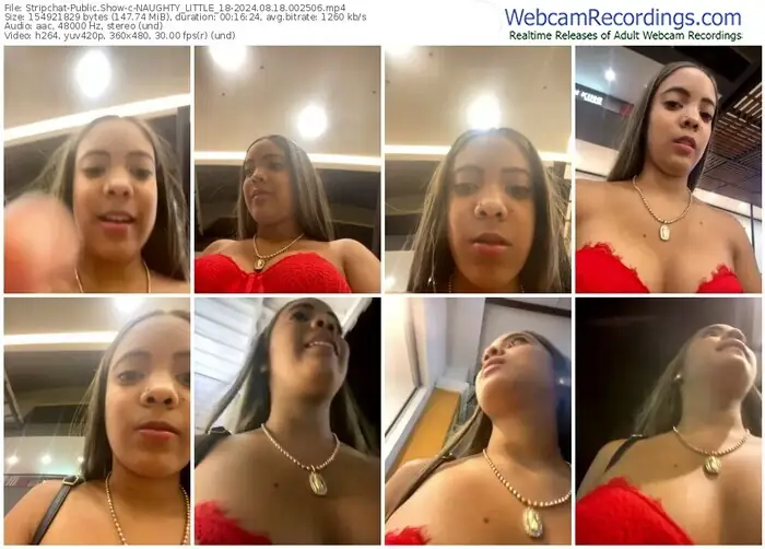 stripchat-naughty_little_18-08-18-2024-00-25-06