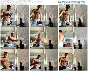 stripchat-rebeu313-08-18-2024-11-08-14