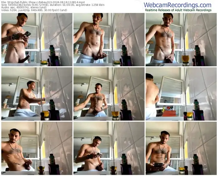 stripchat-rebeu313-08-18-2024-11-08-14