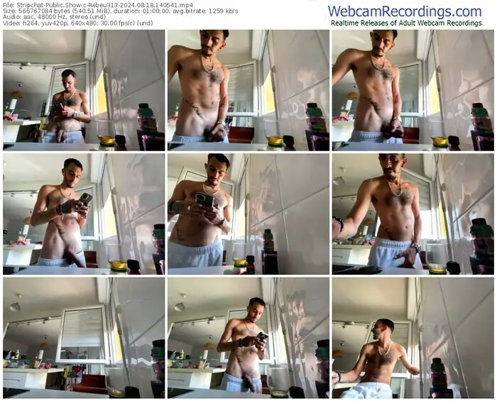 stripchat-rebeu313-08-18-2024-14-05-41