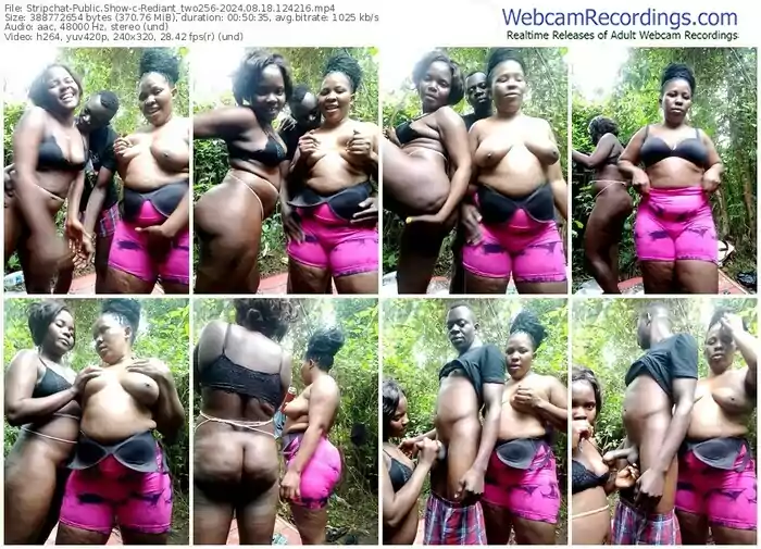 stripchat-rediant_two256-08-18-2024-12-42-16