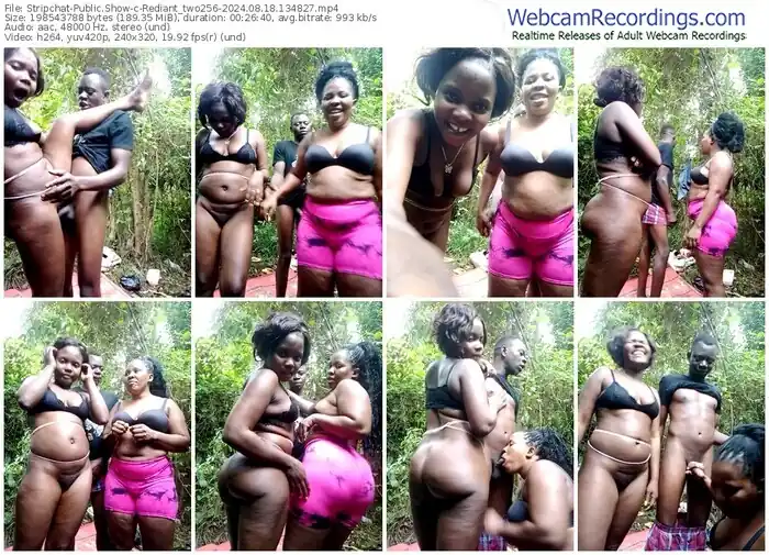 stripchat-rediant_two256-08-18-2024-13-48-27