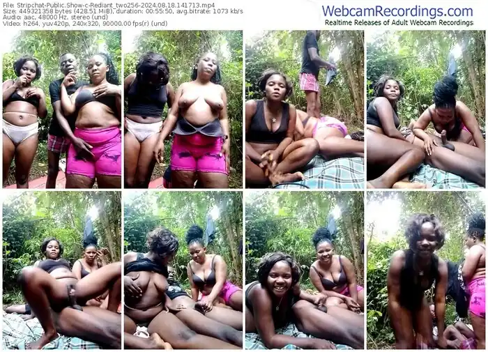 stripchat-rediant_two256-08-18-2024-14-17-13