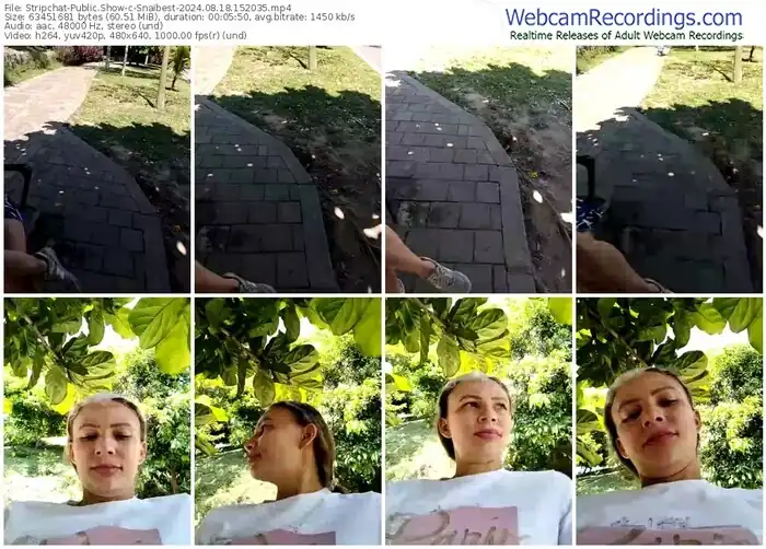 stripchat-snaibest-08-18-2024-15-20-35