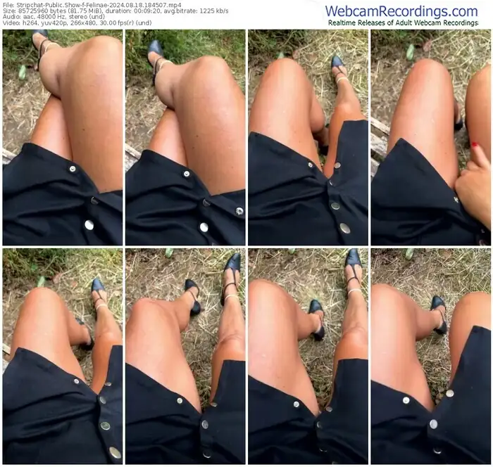 stripchat-felinae-08-18-2024-18-45-07