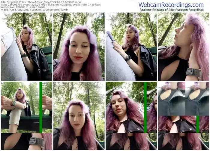 stripchat-frost_foxy-08-18-2024-08-31-00