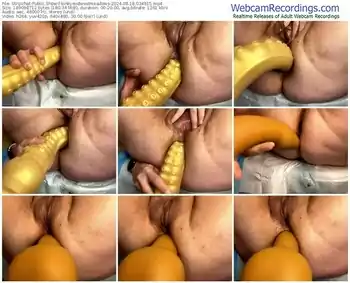 stripchat-kinkymidwestmeadows-08-18-2024-03-49-15