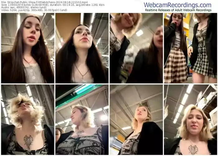 stripchat-littlebitchess-08-18-2024-22-21-02