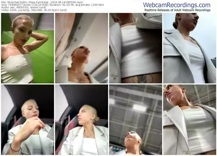 stripchat-pinkstar_-08-18-2024-08-55-56