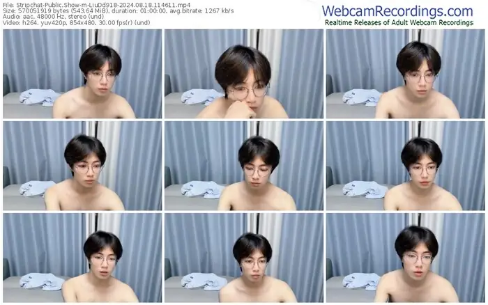 stripchat-liudd918-08-18-2024-11-46-11