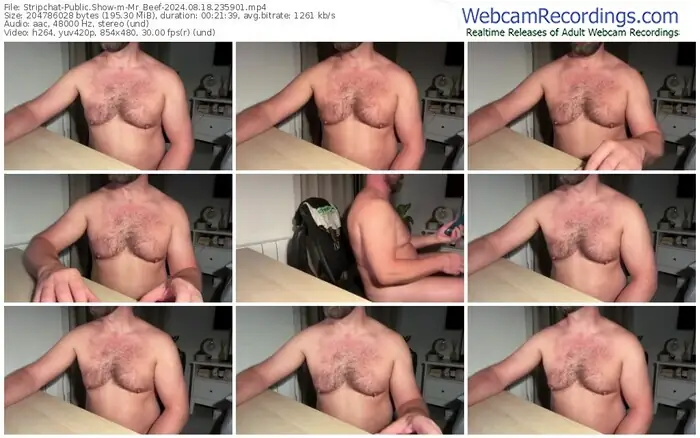 stripchat-mr_beef-08-18-2024-23-59-01
