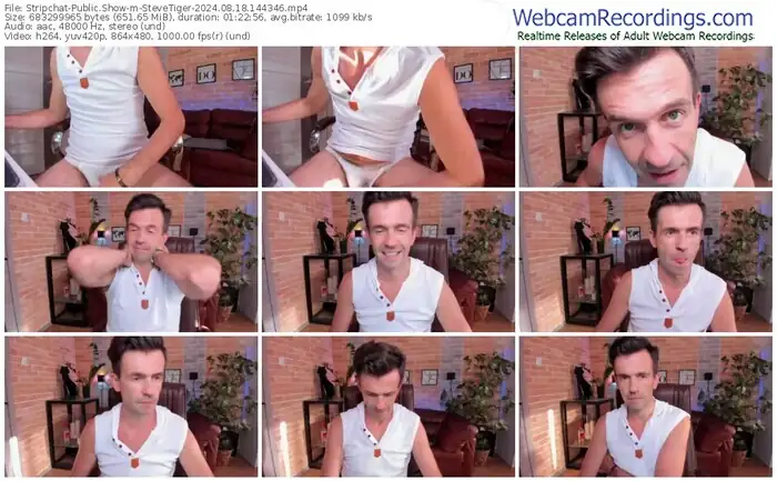 stripchat-stevetiger-08-18-2024-14-43-46
