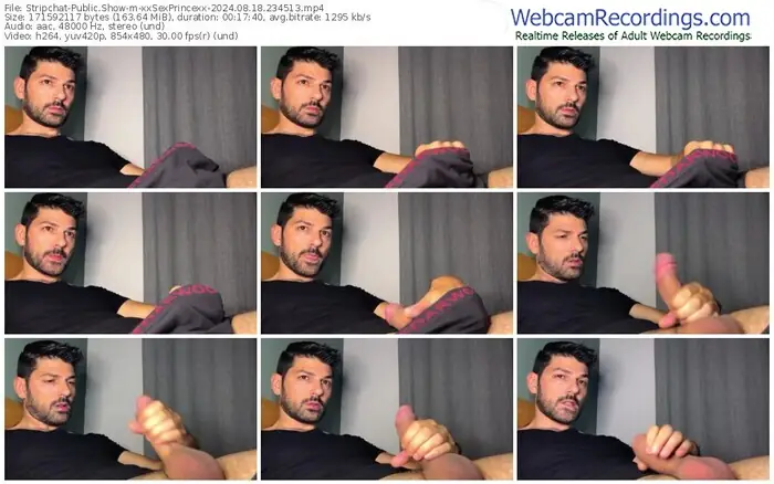 stripchat-xxsexprincexx-08-18-2024-23-45-13