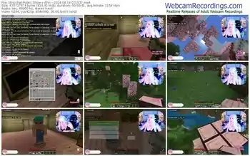 stripchat-ahri---08-19-2024-07-15-37