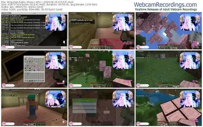 stripchat-ahri---08-19-2024-07-15-37