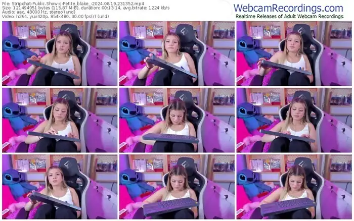 stripchat-petite_blake_-08-19-2024-23-13-52