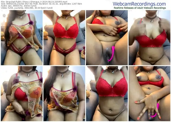 stripchat-shenaya_x-08-19-2024-23-59-55