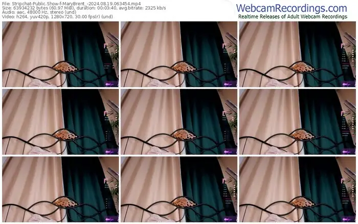 stripchat-marybrent_-08-19-2024-06-34-54