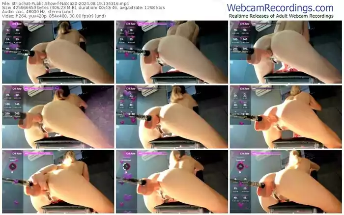 stripchat-natca20-08-19-2024-13-43-16