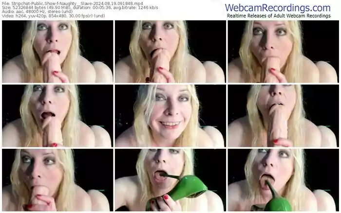 stripchat-naughty__slave-08-19-2024-09-18-48