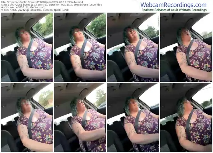 stripchat-potofgreer-08-19-2024-22-54-44