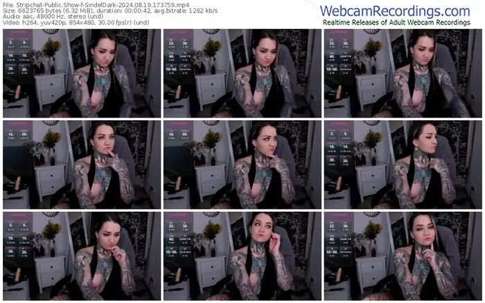 stripchat-sindeldark-08-19-2024-17-37-59