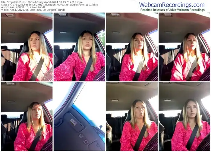 stripchat-stasywood-08-19-2024-01-43-11