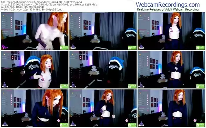 stripchat-_sparkland_-08-19-2024-01-21-55