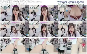 stripchat-__lab__-08-19-2024-17-16-21