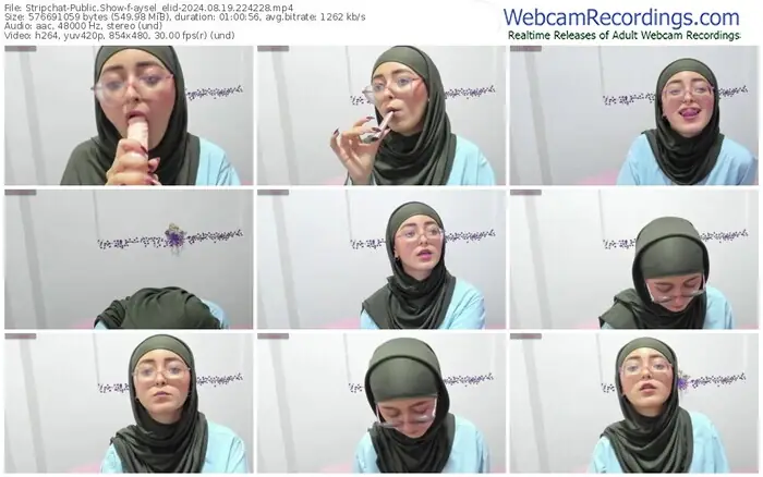 stripchat-aysel_elid-08-19-2024-22-42-28