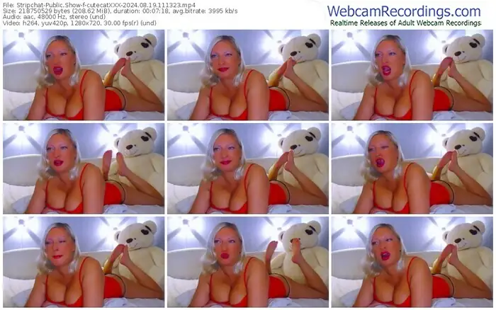 stripchat-cutecatxxx-08-19-2024-11-13-23
