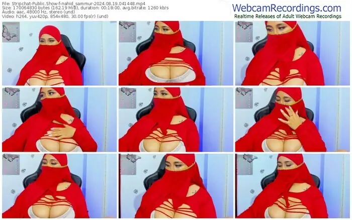 stripchat-nahid_sammur-08-19-2024-04-14-48