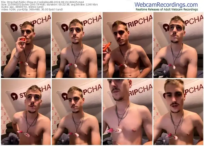 stripchat-cookieboy88-08-19-2024-18-04-25