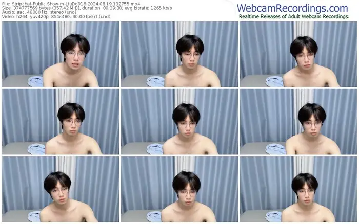 stripchat-liudd918-08-19-2024-13-27-55