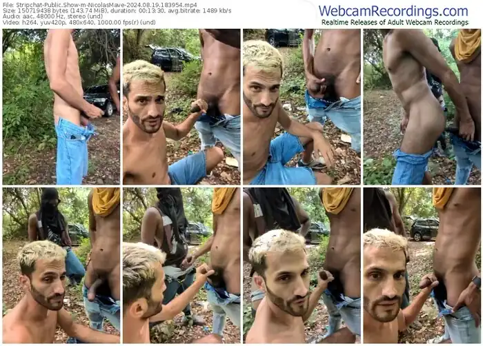 stripchat-nicolasmave-08-19-2024-18-39-54
