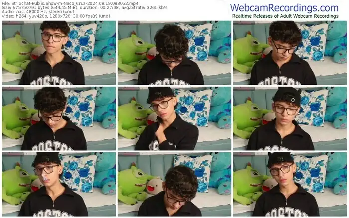 stripchat-niico_cruz-08-19-2024-08-30-52