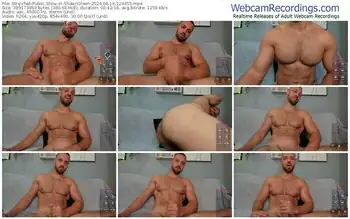stripchat-shawnolsen-08-19-2024-12-44-55