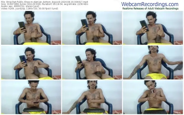stripchat-damian_bottom_bigcock-08-19-2024-00-44-17