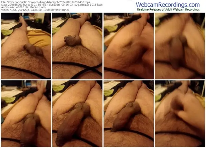 stripchat-diegodelanight-08-19-2024-03-14-30