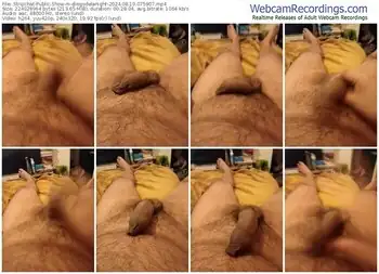 stripchat-diegodelanight-08-19-2024-07-59-07