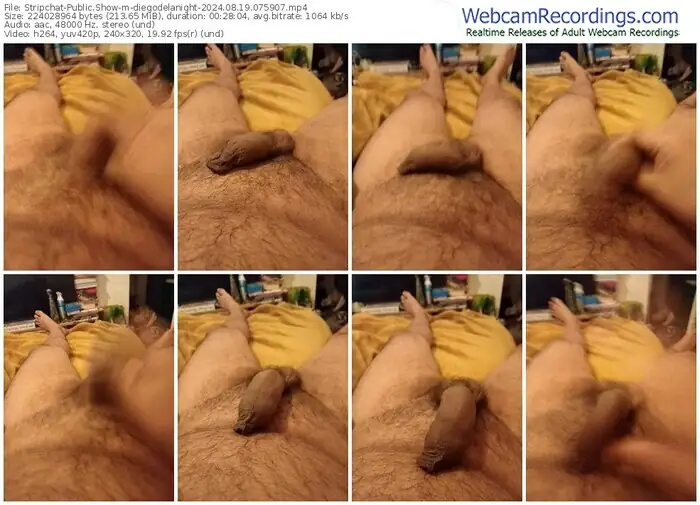 stripchat-diegodelanight-08-19-2024-07-59-07