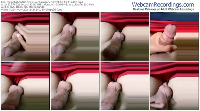 stripchat-raayaannxn-08-19-2024-11-44-03