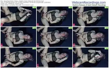 stripchat-rabit_snake-08-20-2024-00-40-23