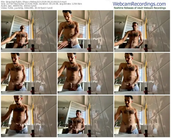 stripchat-rebeu313-08-20-2024-09-10-10