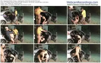 stripchat-darlingluky-08-20-2024-02-52-39