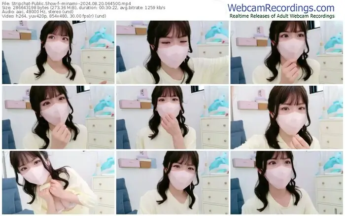 stripchat--minami--08-20-2024-06-45-00