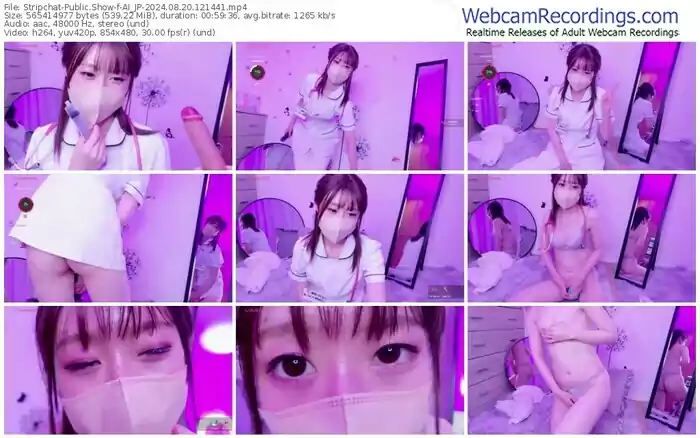 stripchat-ai_jp-08-20-2024-12-14-41